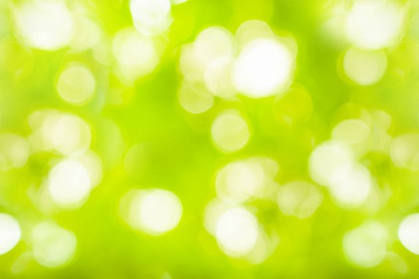 緑ぼかし背景抽象、自然光のボケ背景 - 写真・画像