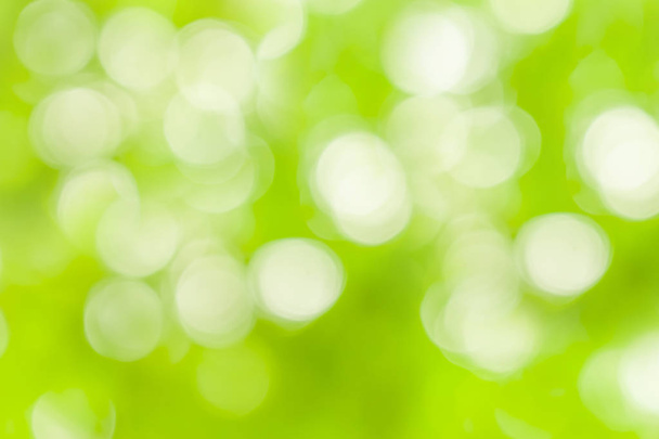 Zielony rozmycie streszczenie tło, tło światło bokeh natura - Zdjęcie, obraz