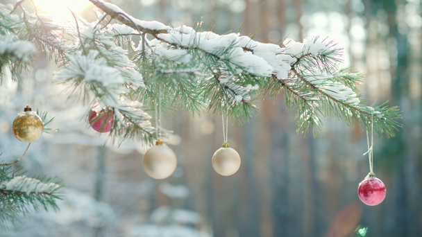 Mooie ornamenten op een kerst met sneeuw bedekte boom - Video