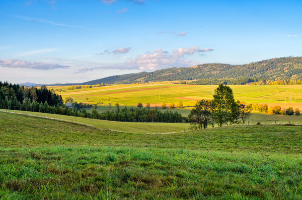 Meadow and hills - Фото, изображение