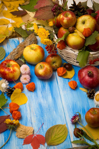 Őszi világos háttér. Virágok, levelek és gyümölcsök a fa kék háttér. Háttérben az őszi ünnepek és a hálaadó nap. - Fotó, kép