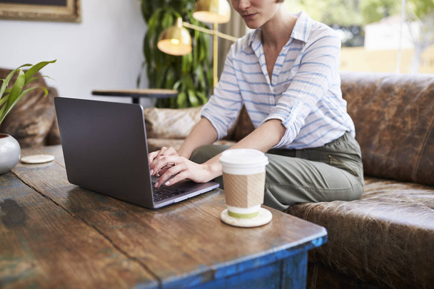 Young woman using laptop sitting in coffee shop - 写真・画像