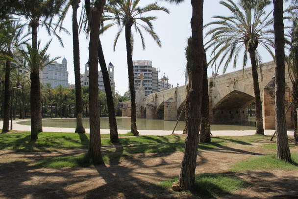 Valencia park in old river - Photo, image