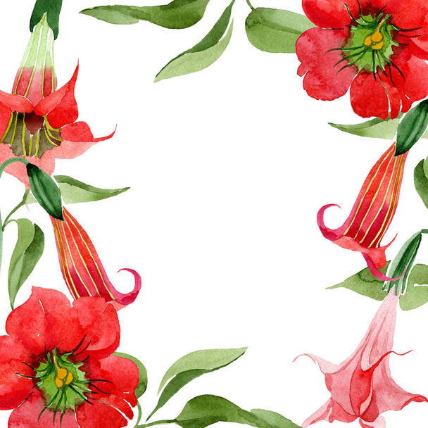 Aquarelle fleur de brugmansia rouge. Fleur botanique florale. Cadre bordure ornement carré. Aquarelle fleur sauvage pour fond, texture, motif d'emballage, cadre ou bordure
. - Photo, image