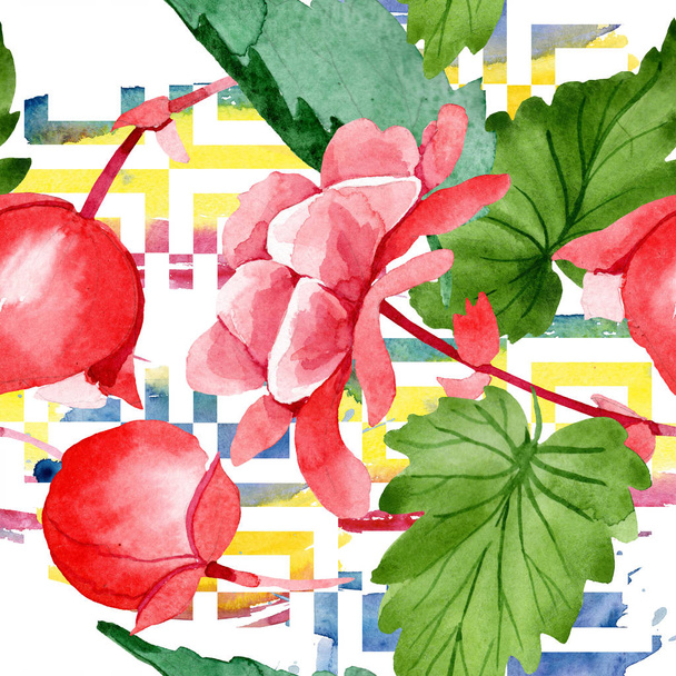 Akvarell rózsaszín begónia virág. Virágos botanikai virág. Varratmentes háttérben minta. Szövet nyomtatási textúrát. A háttér textúra, burkoló minta, keret vagy határ Aquarelle vadvirág. - Fotó, kép