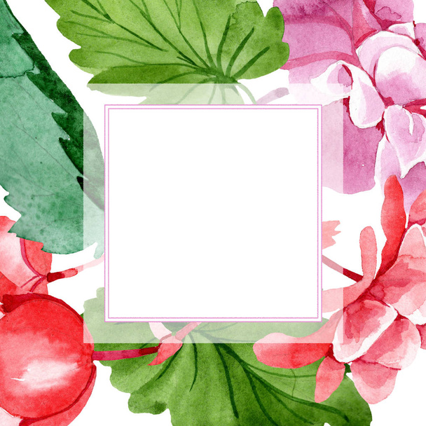 Watercolor pink begonia flower. Floral botanical flower. Frame border ornament square. Aquarelle wildflower for background, texture, wrapper pattern, frame or border. - Φωτογραφία, εικόνα