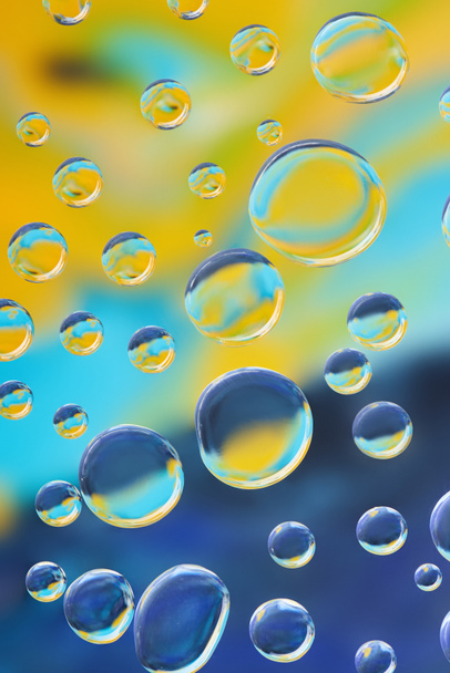 beautiful calm dew drops on blurred abstract background   - Valokuva, kuva