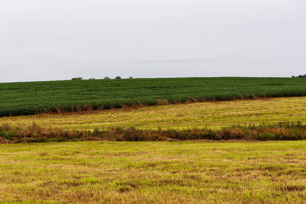 Groene en gouden velden op landbouwgrond in Gettysburg. - Foto, afbeelding