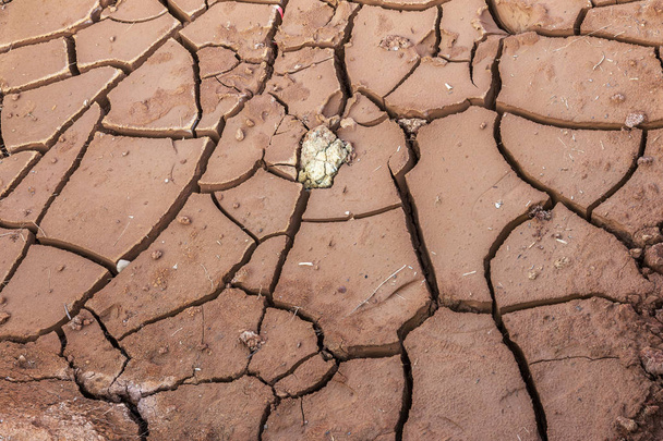 Ξηρασία. Ξηρό πυθμένα της λίμνης. Νεκρός ξηρά από ξηρασία. Ξηρό έδαφος σχισμές των ξηρασίας. Η έννοια της ξηρασίας, κλιματική αλλαγή, θάνατος χωρίς υγρασία. Οικολογία. Καταστροφή. Μυστικισμός ραγισμένα - Φωτογραφία, εικόνα