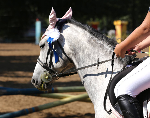 Unknown horse rider riding on equestrian event with the ribbons rosette of winners - Photo, Image