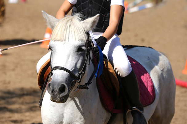 Неизвестный всадник верхом на конном спорте с ленточками розетки победителей
 - Фото, изображение