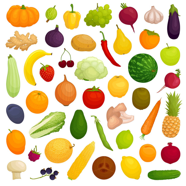 Vector set of products. Whole vegetables, fruits. berries and mushrooms. - Vektori, kuva