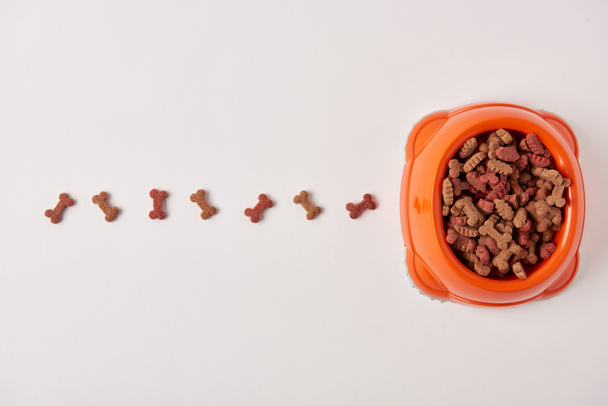 vista superior de alimentos para perros dispuestos colocados en fila cerca de un recipiente de plástico en la superficie blanca
  - Foto, Imagen