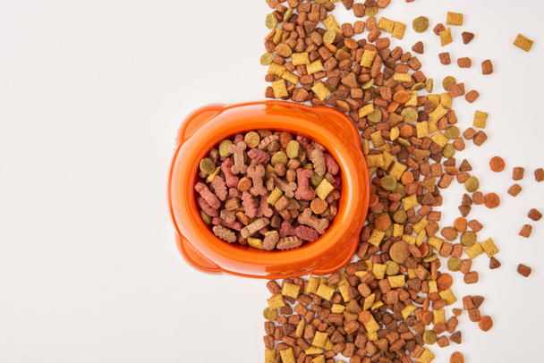 top view of arranged plastic bowl and pile of dog food on white surface - Photo, Image