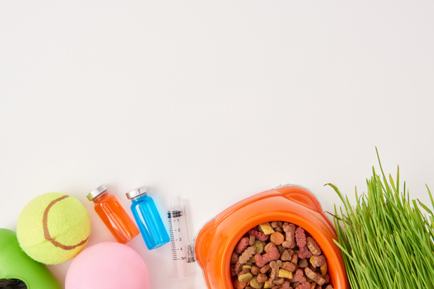 top view of balls, grass, plastic bowl with dog food, syringe and colorful bottles with medications on white surface - Photo, Image