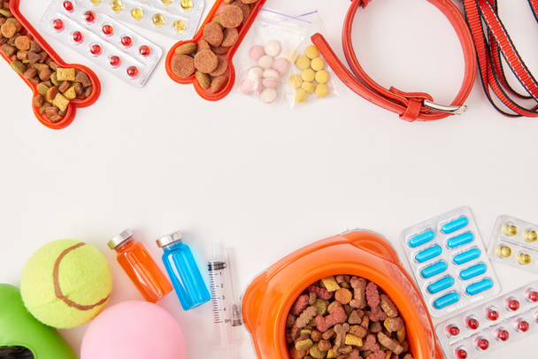 flat lay with dog collar, various pills, balls and bowl with dog food on white surface - Photo, Image