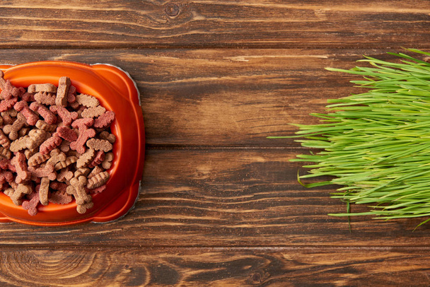 flat lay with arranged plastic bowl with pile of dog food near grass on wooden background - Photo, Image