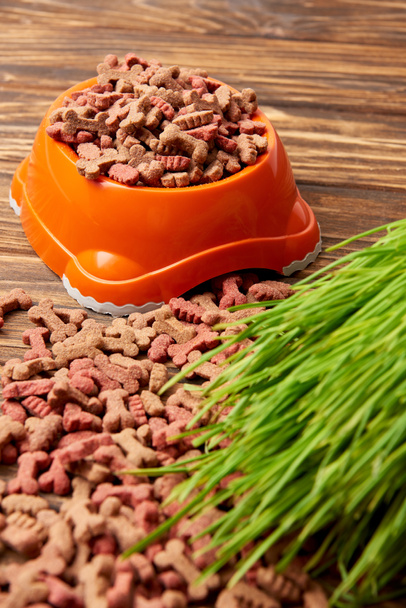 plastic bowl with pile of pet food and grass on wooden table  - Photo, Image