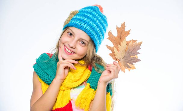Girl cute face wear knitted autumn hat and scarf hold leaves white background. Autumn leisure idea. Girl with maple leaf think about leisure. Autumn to do list. Autumn bucket list for children - 写真・画像