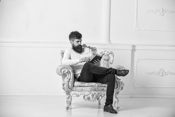 Man with beard and mustache sits on armchair and reading, white wall background. Connoisseur of literature concept. Macho spends leisure with book. Connoisseur, professor enjoy literature - Φωτογραφία, εικόνα