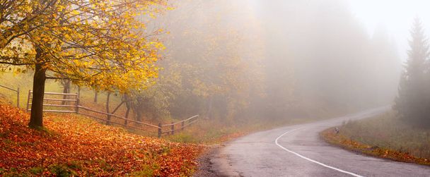 Paisaje de otoño. Fondo de otoño. Panorama de otoño con carretera. Árbol amarillo en la carretera en la niebla
. - Foto, imagen