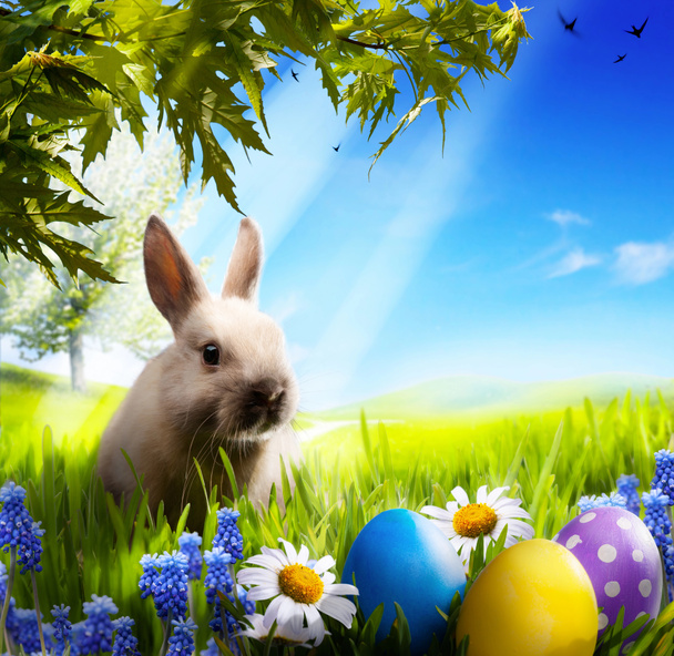 art Kis húsvéti nyuszi és húsvéti tojás zöld füvön - Fotó, kép