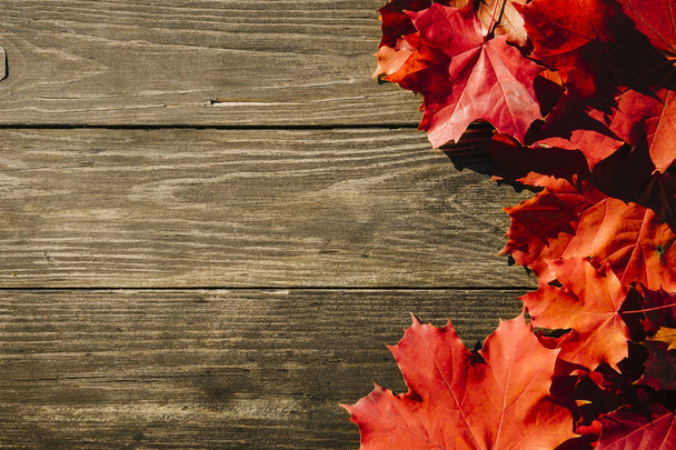 frame of autumn leaves - Photo, Image