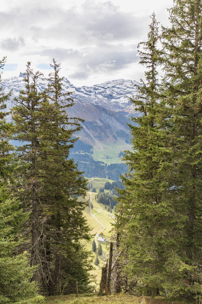 Caminhadas no monte Brunni em Engelberg nos alpes suíços no verão
 - Foto, Imagem