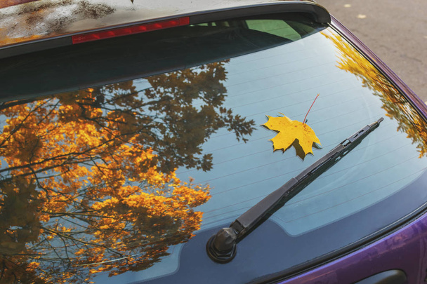 αντανάκλαση κίτρινο φύλλωμα του σφενδάμνου στο πίσω παράθυρο του αυτοκινήτου. ηλιόλουστη φθινοπωρινή μέρα - Φωτογραφία, εικόνα