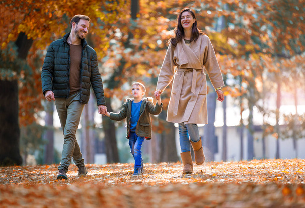 Young family walking in the autumn park with his son, holding his hand. - Photo, Image