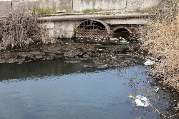 Sporchi liquami e rifiuti domestici nel piccolo fiume, il canale di irrigazione provoca una rapida crescita delle alghe. Inquinamento idrico. Problema ecologico. Problema della plastica. L'uso dell'acqua è pericoloso, è vietato
 - Foto, immagini