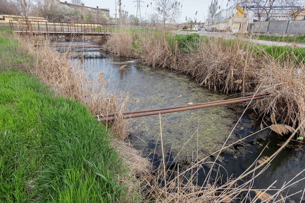 Las aguas residuales sucias y la basura doméstica en el río pequeño, canal de riego causa un rápido crecimiento de las algas. Contaminación del agua. Problema ecológico. Problema de plástico. El uso del agua es peligroso, está prohibido
 - Foto, Imagen