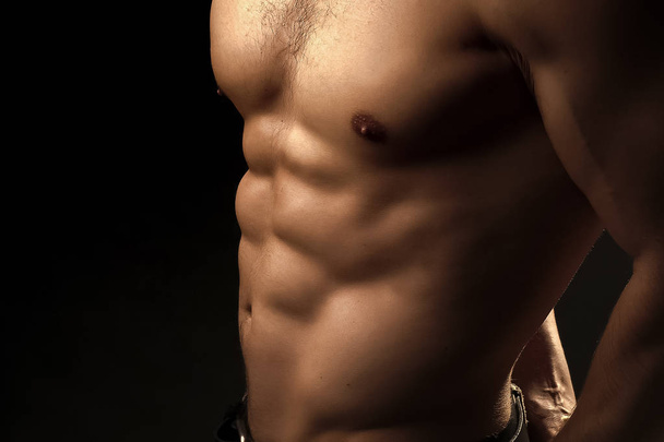 Muscular male torso - 写真・画像