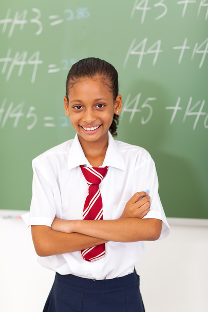 Elementary schoolgirl standing in front of chalkboard - Photo, image