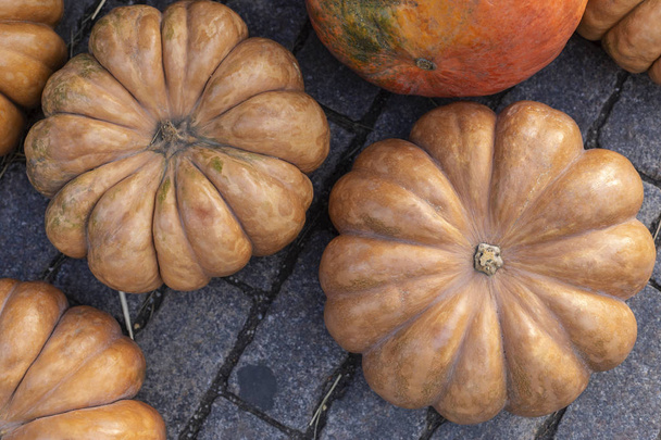 Composition of pumpkins with hay at paving background. Autumnal harvest - Foto, Imagen