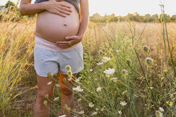 Vientre de la mujer embarazada en el campo
 - Foto, Imagen