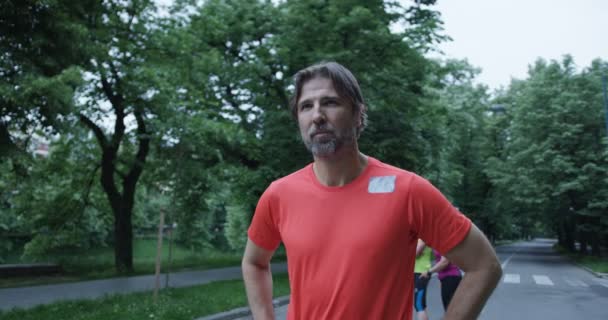 Group of runners seen from behind, jogging together in city park - Séquence, vidéo