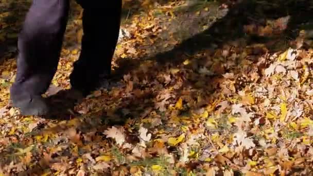 Worker Collects Yellow Fallen Leaves in the Autumn Park using a Rake - Filmati, video