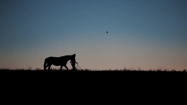 Silhouetten einer Frau, die mit einem Pferd vor Sonnenuntergang geht - Filmmaterial, Video