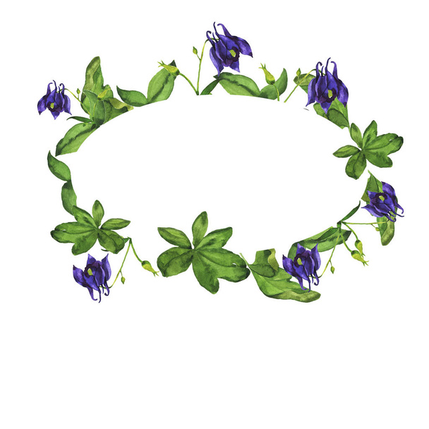 Violet aquilegia floral and leaf frame isolated on white background. Hand drawn watercolor illustration. - Foto, Imagen