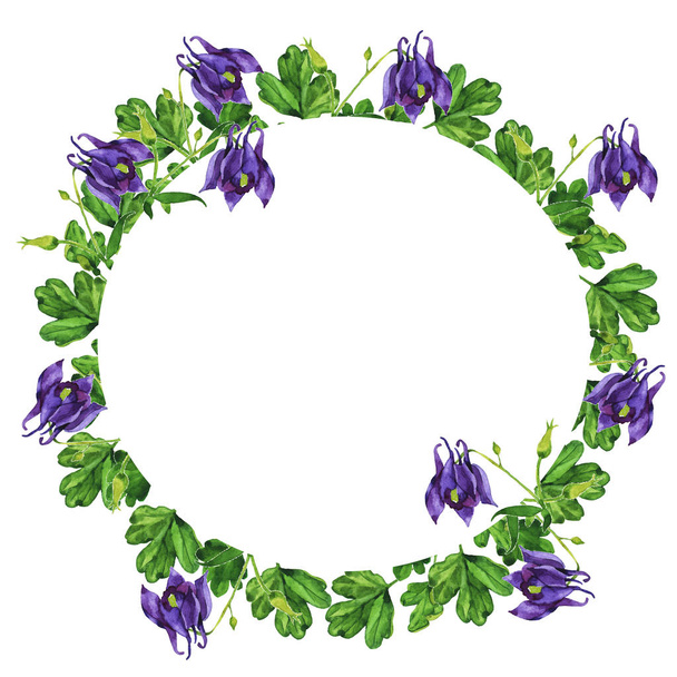Violet aquilegia floral frame isolated on white background. Hand drawn watercolor illustration. - Фото, изображение