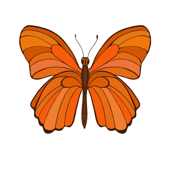 Grote oranje vlinder geïsoleerd op een witte achtergrond. hand getekende vectorillustratie. - Vector, afbeelding