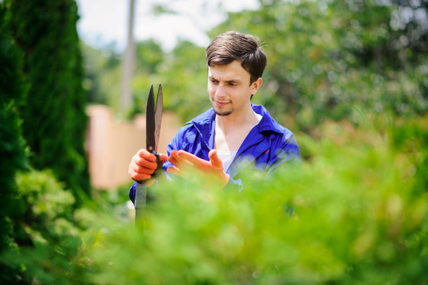 Young handsome  gardener man is cutting the bushes with scissors - Photo, Image