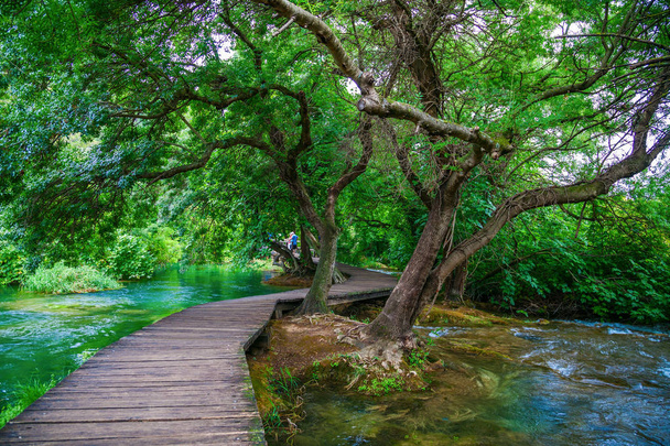 Holzpfad im schönen grünen Nationalpark Krka, Kroatien - Foto, Bild