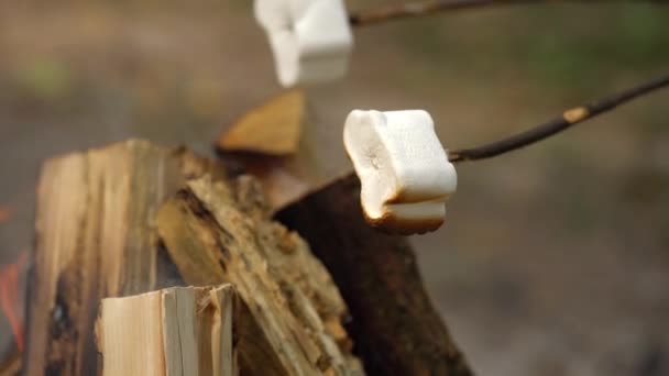 Marshmallow stanno friggendo, arrostendo sui bastoncini sopra il falò, all'aperto
 - Filmati, video