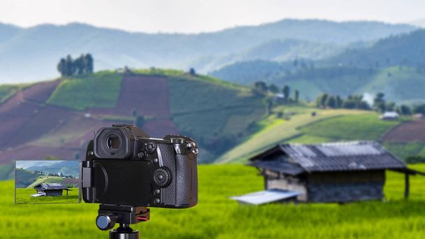 Ψηφιακή φωτογραφική μηχανή πάνω από το τρίποδο θολώνει υπόβαθρο και μόνο σπίτι σε πεδίο καταπράσινη paddy / ρύζια πεδίο fram το απόγευμα στο ύπαιθρο στο Chiangmai, Ταϊλάνδη - Φωτογραφία, εικόνα