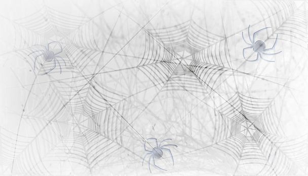 Light background with spiderweb for Halloween. Vector illustration. - Vector, Image