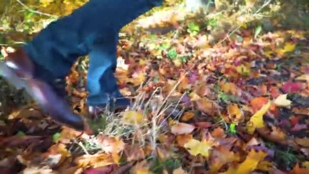 Füße Mann auf Herbstblättern im Freien mit Herbstjahreszeit Natur im Hintergrund. Lifestyle Mode trendiger Stil - Filmmaterial, Video