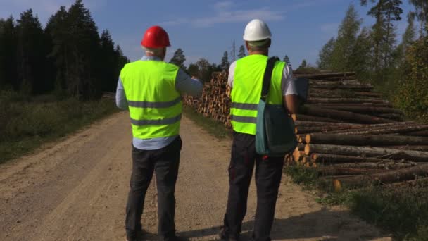 Forest officieren in de buurt van stapel van logs in bos - Video