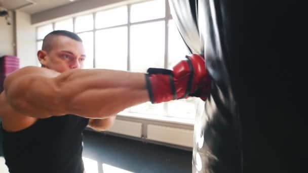 Muscular fisiculturista colocar em luvas de treinamento bater um saco de perfuração
 - Filmagem, Vídeo